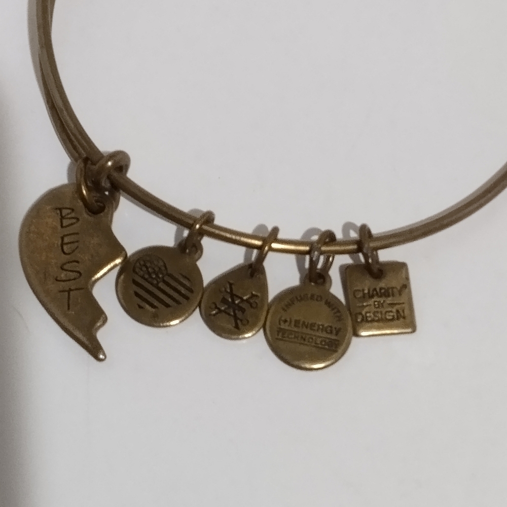 Alex & Ani Best Friend Gold Charm Bracelet